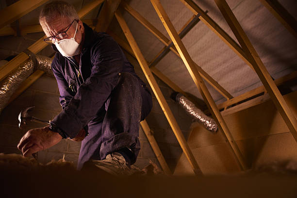 Best Insulation for Specific Applications in Rayne, LA